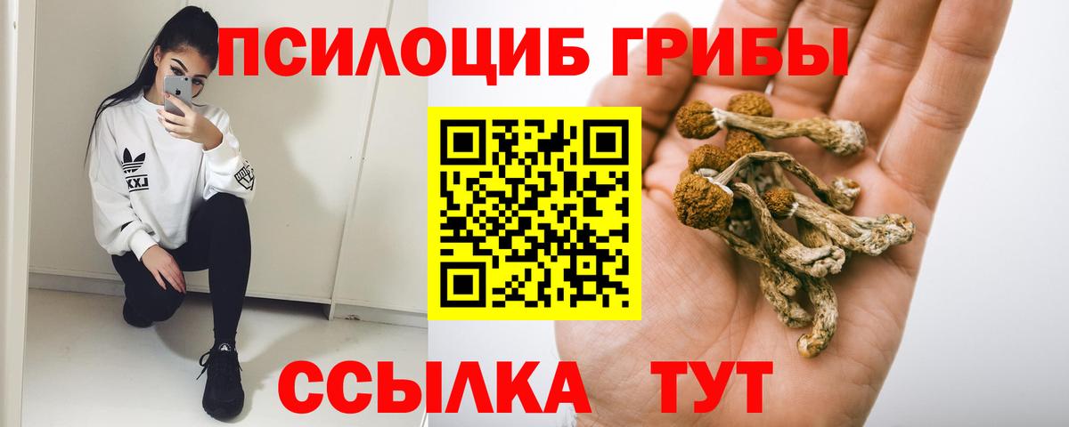 Новокубанск  Галлюциногенные грибы ЛСД  Вход с VPN 